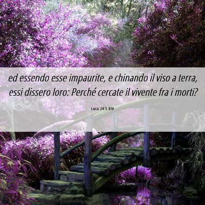 Picture 06 - Luca 24:5 RIV - ed essendo esse impaurite, e chinando il viso a - Bible Verse Picture