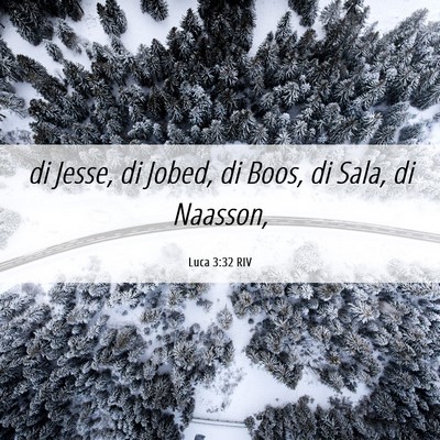 Picture 06 - Luca 3:32 RIV - di Jesse, di Jobed, di Boos, di Sala, di - Bible Verse Picture