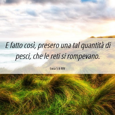 Picture 06 - Luca 5:6 RIV - E fatto così, presero una tal quantità di - Bible Verse Picture
