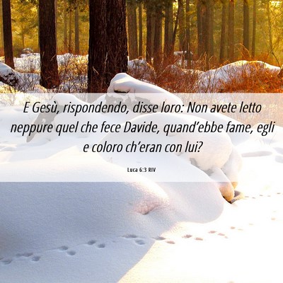 Picture 06 - Luca 6:3 RIV - E Gesù, rispondendo, disse loro: Non avete letto - Bible Verse Picture