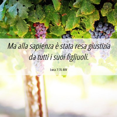 Picture 06 - Luca 7:35 RIV - Ma alla sapienza è stata resa giustizia da tutti - Bible Verse Picture