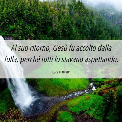 Picture 06 - Luca 8:40 RIV - Al suo ritorno, Gesù fu accolto dalla folla, - Bible Verse Picture