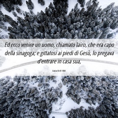 Picture 06 - Luca 8:41 RIV - Ed ecco venire un uomo, chiamato Iairo, che era - Bible Verse Picture