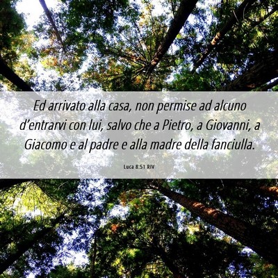 Picture 06 - Luca 8:51 RIV - Ed arrivato alla casa, non permise ad alcuno - Bible Verse Picture