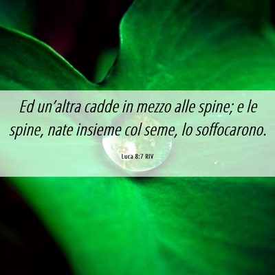 Picture 06 - Luca 8:7 RIV - Ed un’altra cadde in mezzo alle spine; e le - Bible Verse Picture
