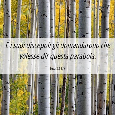 Picture 06 - Luca 8:9 RIV - E i suoi discepoli gli domandarono che volesse - Bible Verse Picture