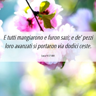 Picture 06 - Luca 9:17 RIV - E tutti mangiarono e furon sazi; e de’ pezzi - Bible Verse Picture