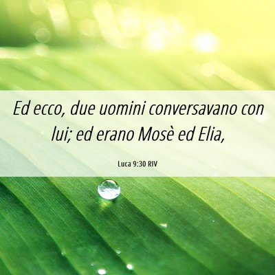 Picture 06 - Luca 9:30 RIV - Ed ecco, due uomini conversavano con lui; ed - Bible Verse Picture
