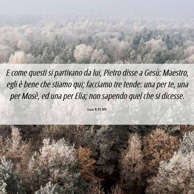 Picture 06 - Luca 9:33 RIV - E come questi si partivano da lui, Pietro disse a - Bible Verse Picture