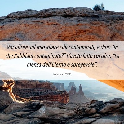 Picture 06 - Malachia 1:7 RIV - Voi offrite sul mio altare cibi contaminati, e - Bible Verse Picture