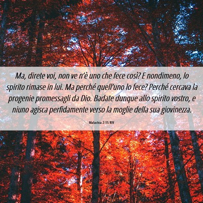 Picture 06 - Malachia 2:15 RIV - Ma, direte voi, non ve n’è uno che fece così? - Bible Verse Picture