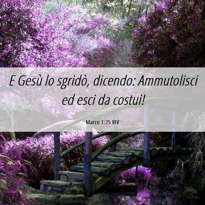 Picture 06 - Marco 1:25 RIV - E Gesù lo sgridò, dicendo: Ammutolisci ed esci - Bible Verse Picture