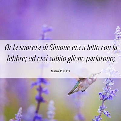 Picture 06 - Marco 1:30 RIV - Or la suocera di Simone era a letto con la - Bible Verse Picture