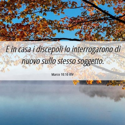 Picture 06 - Marco 10:10 RIV - E in casa i discepoli lo interrogarono di nuovo - Bible Verse Picture