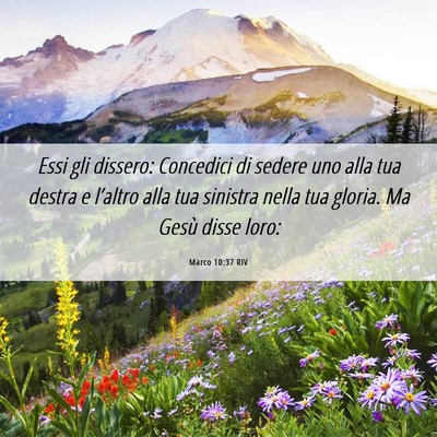 Picture 06 - Marco 10:37 RIV - Essi gli dissero: Concedici di sedere uno alla - Bible Verse Picture