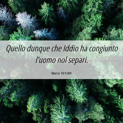 Picture 06 - Marco 10:9 RIV - Quello dunque che Iddio ha congiunto l’uomo nol - Bible Verse Picture