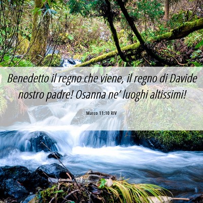 Picture 06 - Marco 11:10 RIV - Benedetto il regno che viene, il regno di Davide - Bible Verse Picture