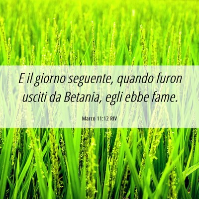Picture 06 - Marco 11:12 RIV - E il giorno seguente, quando furon usciti da - Bible Verse Picture