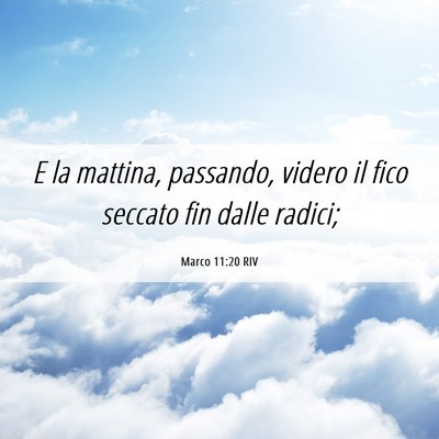 Picture 06 - Marco 11:20 RIV - E la mattina, passando, videro il fico seccato - Bible Verse Picture