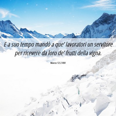Picture 06 - Marco 12:2 RIV - E a suo tempo mandò a que’ lavoratori un - Bible Verse Picture
