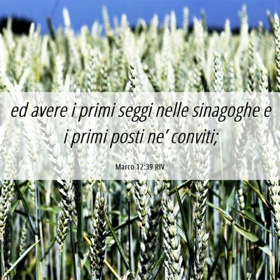 Picture 06 - Marco 12:39 RIV - ed avere i primi seggi nelle sinagoghe e i primi - Bible Verse Picture