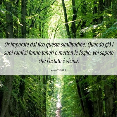 Picture 06 - Marco 13:28 RIV - Or imparate dal fico questa similitudine: Quando - Bible Verse Picture