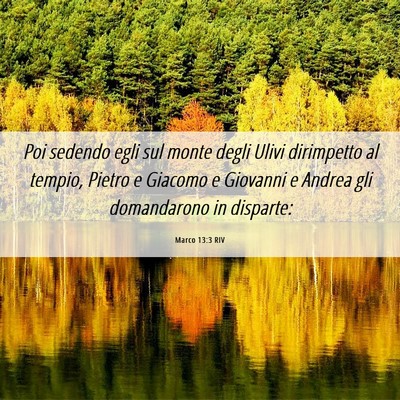 Picture 06 - Marco 13:3 RIV - Poi sedendo egli sul monte degli Ulivi dirimpetto - Bible Verse Picture