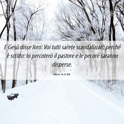 Picture 06 - Marco 14:27 RIV - E Gesù disse loro: Voi tutti sarete - Bible Verse Picture