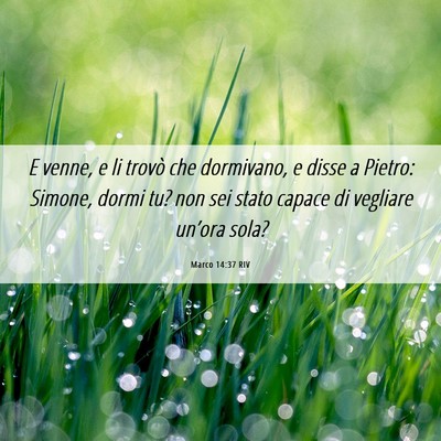 Picture 06 - Marco 14:37 RIV - E venne, e li trovò che dormivano, e disse a - Bible Verse Picture