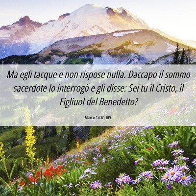 Picture 06 - Marco 14:61 RIV - Ma egli tacque e non rispose nulla. Daccapo il - Bible Verse Picture