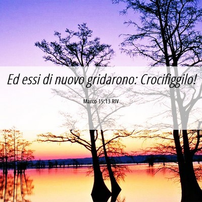 Picture 06 - Marco 15:13 RIV - Ed essi di nuovo gridarono: - Bible Verse Picture