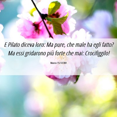 Picture 06 - Marco 15:14 RIV - E Pilato diceva loro: Ma pure, che male ha egli - Bible Verse Picture