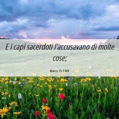 Picture 06 - Marco 15:3 RIV - E i capi sacerdoti l’accusavano di molte - Bible Verse Picture