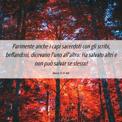 Picture 06 - Marco 15:31 RIV - Parimente anche i capi sacerdoti con gli scribi, - Bible Verse Picture