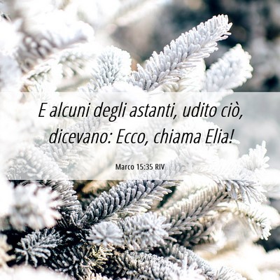 Picture 06 - Marco 15:35 RIV - E alcuni degli astanti, udito ciò, dicevano: - Bible Verse Picture