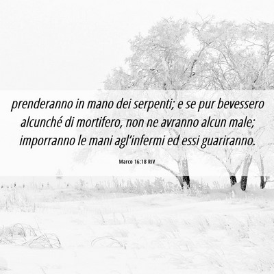 Picture 06 - Marco 16:18 RIV - prenderanno in mano dei serpenti; e se pur - Bible Verse Picture