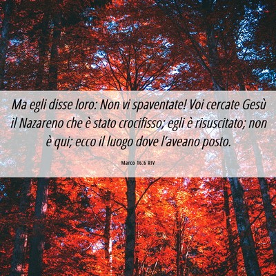 Picture 06 - Marco 16:6 RIV - Ma egli disse loro: Non vi spaventate! Voi - Bible Verse Picture