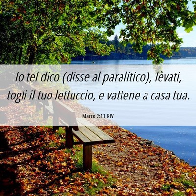 Picture 06 - Marco 2:11 RIV - Io tel dico (disse al paralitico), lèvati, togli - Bible Verse Picture