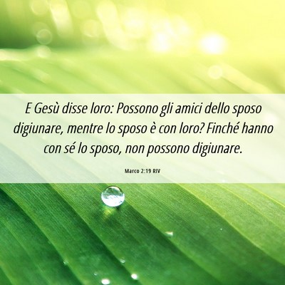 Picture 06 - Marco 2:19 RIV - E Gesù disse loro: Possono gli amici dello sposo - Bible Verse Picture