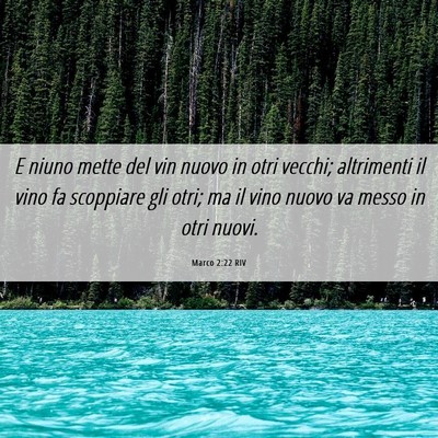 Picture 06 - Marco 2:22 RIV - E niuno mette del vin nuovo in otri vecchi; - Bible Verse Picture