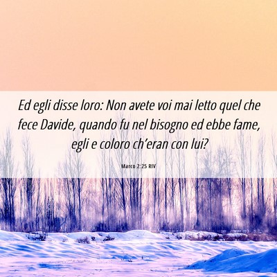 Picture 06 - Marco 2:25 RIV - Ed egli disse loro: Non avete voi mai letto quel - Bible Verse Picture