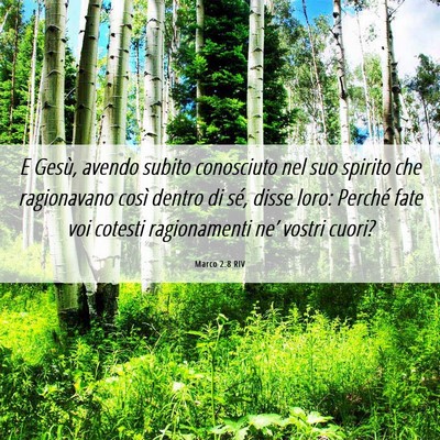 Picture 06 - Marco 2:8 RIV - E Gesù, avendo subito conosciuto nel suo spirito - Bible Verse Picture