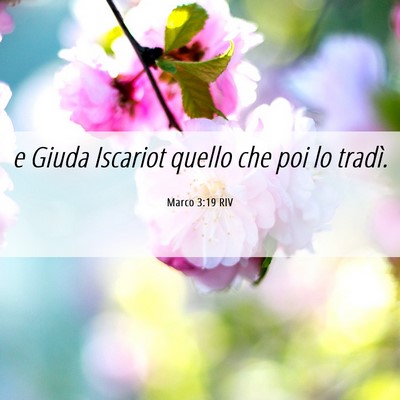 Picture 06 - Marco 3:19 RIV - e Giuda Iscariot quello che poi lo - Bible Verse Picture