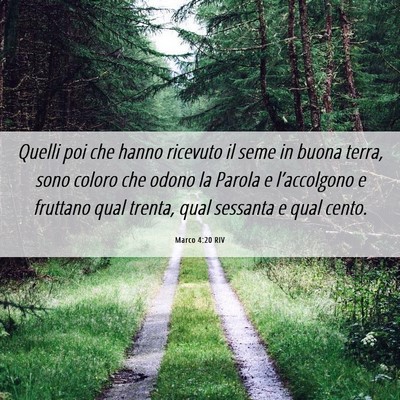 Picture 06 - Marco 4:20 RIV - Quelli poi che hanno ricevuto il seme in buona - Bible Verse Picture