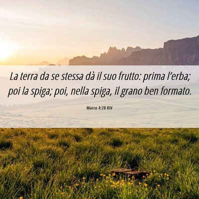 Picture 06 - Marco 4:28 RIV - La terra da se stessa dà il suo frutto: prima - Bible Verse Picture