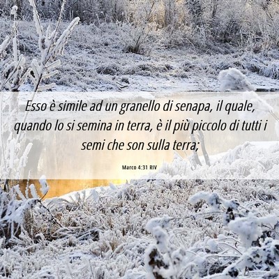 Picture 06 - Marco 4:31 RIV - Esso è simile ad un granello di senapa, il - Bible Verse Picture