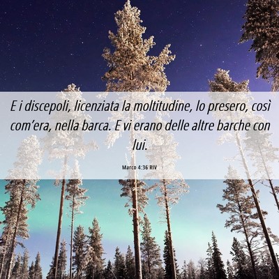 Picture 06 - Marco 4:36 RIV - E i discepoli, licenziata la moltitudine, lo - Bible Verse Picture