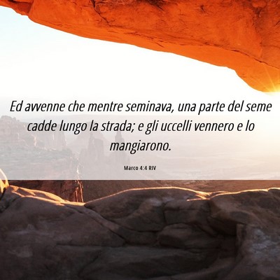 Picture 06 - Marco 4:4 RIV - Ed avvenne che mentre seminava, una parte del - Bible Verse Picture