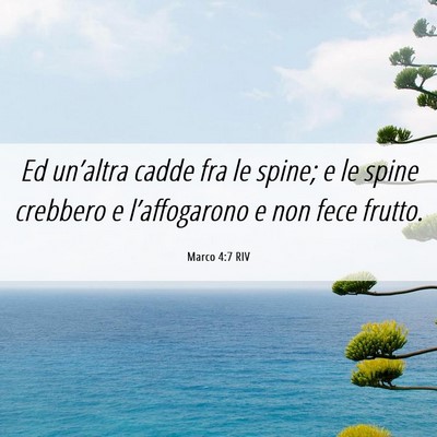 Picture 06 - Marco 4:7 RIV - Ed un’altra cadde fra le spine; e le spine - Bible Verse Picture