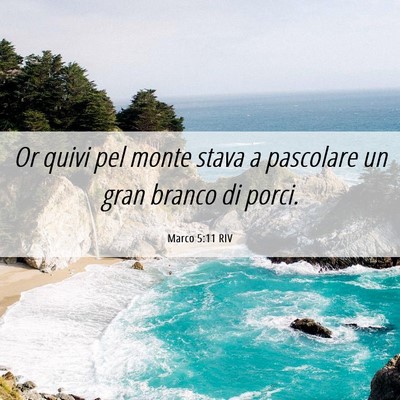 Picture 06 - Marco 5:11 RIV - Or quivi pel monte stava a pascolare un gran - Bible Verse Picture